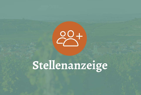 aktuelle Jobangebote
